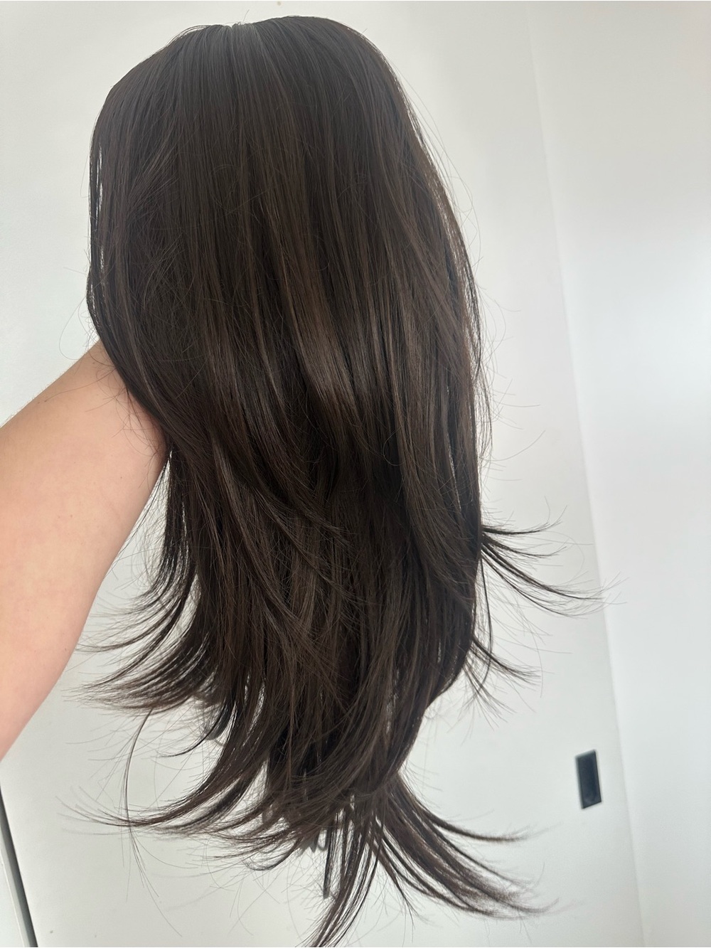 Women's Dark Brown Long Layered Wig - Natural Look NWT